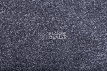Ковролин Condor Bounty 175 фото 1 | FLOORDEALER